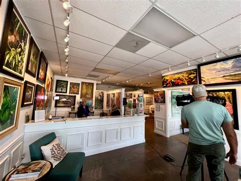 Piper/Gallery .